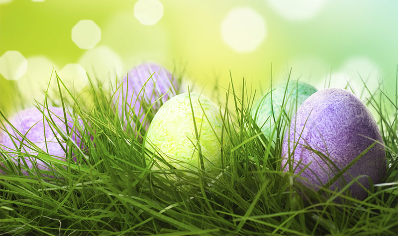 BID Egg Roll Magic Show & Egg Hunt @ Mitchell Park